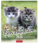 Csg Falinaptár CSG 190x220mm álló Én és a barátaim 2026 (FN U05) - fotoland