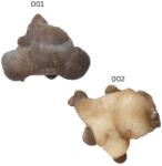  Calcedonie Nodular Bruta din Maroc - 55-77 x 43-61 x 27-44 mm - Mineral Rar de Colectie - ( XXL ) - 1 Buc