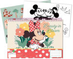 Minnie Disney Minnie Nomadic Spirit A/4 spirál vázlatfüzet 40 lapos matricával