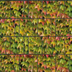 JIN Táblás kerítésbe fűzhető őszi levél szalag 26 m hosszú 19 cm magas műanyag belátásgátló szélfogó