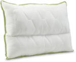 Dormeo perna anatomica Aloe Vera V4 50x70 cm (1000233799)