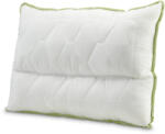 Dormeo perna anatomica Aloe Vera 50X70 cm (1000234192)