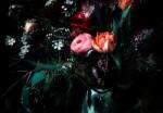  Tapet foto hartie motiv floral Still Life 2, 54 x 3, 68 m (31618442)