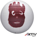 Wilson Strandröplabda Wilson Castaway (WTH4615XDEF) - aktivsport
