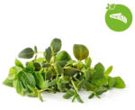 Click & Grow Capsule Click & Grow cu seminte si substrat de amestec de ierburi italiene 9buc (PPMIPX9)