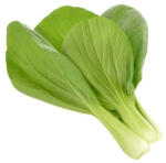 Click & Grow Capsule Click & Grow cu seminte si substrat de Pak Choi 3buc (SGR58X3)