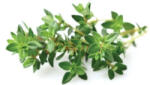 Click & Grow Capsule Click & Grow cu seminte si substrat de cimbru 3buc (SGR17X3)