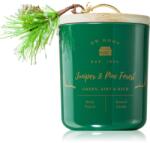 DW HOME Farmhouse Juniper & Pine Forest lumânare parfumată 445 g