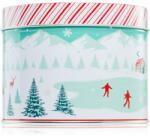 DW HOME Scene & Stripes Cinnamon Gum Drops lumânare parfumată 833 g