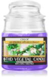 THD Italian Luxury Chloe lumânare parfumată 100 g