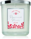 DW HOME Candy Cane Lane Peppermint Mocha lumânare parfumată 264 g