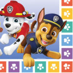 Amscan Mancs Őrjárat Color Paws Szalvéta 16 db-os 33x33 cm Fsc