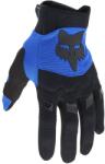 FOX Dirtpaw Blue 2024 (G.FX.DIRTPAW24 AZUL-002)