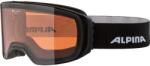 Alpina Ochelari ALPINA ARRIS Q, negru mat