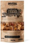 INVITAL CatappaLeaves 20g листа от бадемово дърво (Z11189)