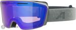 Alpina Ochelari ALPINA NENDAZ Q, moon grey/quatroflex blue