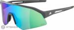 Alpina Ochelari ALPINA SONIC HR Q-lite, midnight/grey - mtbiker - 459,00 RON