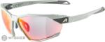 Alpina Ochelari ALPINA TWIST SIX QV, gri fumuriu