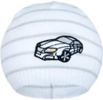 NEW BABY Tavaszi sapka New Baby Autó fehér - világos szürke - babamamakozpont