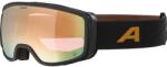 Alpina Ochelari ALPINA BIVIO Q, black/gold matt