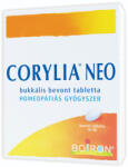 Boiron Corylia NEO torokpasztilla 40 db