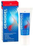 Pharmanext Kft Gengigel gél 20 ml (EP Kártyára Adható)