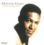 Trader KFT - Indiego Marvin Gaye - What's Going On (CD) (1PAZZ0031)