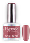 BrillBird TPO FREE Hypnotic HEMA Free Gel&Lac 4ml 95