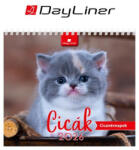 DAYLINER Naptár, asztali, álló, DAYLINER Cicák (NAS5003U) (NAS5003U)