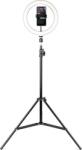 Havit ST7012 Pro Körlámpa telefontartóval és LED világítással Vlogger készlet - Fekete (ST7012 PRO) (ST7012 PRO)