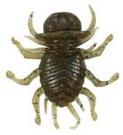 Duo Realis Koninmushi 3.2 cm F034 Light Pumkin Blue Flake lágy Gumicsali