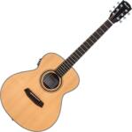 Pasadena PT-100E Natural Chitară electro-acustică