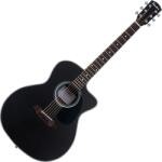Pasadena PGC-100 Black Chitară acustică jumbo
