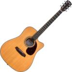 Pasadena PDC-200 Natural Chitară acustică