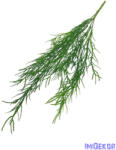  Műzöld csokor 50cm 3372 - Zöld