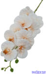  Fodros szirmú orchidea ág 9v 90cm - Barackos