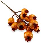  Barkócaberkenye, narancs. Bogyók mérete: 3x2 cm, hossza: 37 cm