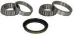 BTA Set rulment roata BTA H10060BTA (H10060BTA) - automobilus