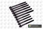 BGA Set surub, chiulasa BGA BK3371 (BK3371)