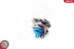 ESEN SKV Set rulment roata ESEN SKV 29SKV035 (29SKV035) - automobilus
