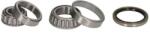 BTA Set rulment roata BTA H21006BTA (H21006BTA) - automobilus