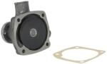 THERMOTEC Pompă de apă, răcire motor THERMOTEC WP-DZ113 (WP-DZ113)