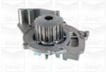 GRAF Pompă de apă, răcire motor GRAF PA861 (PA861)