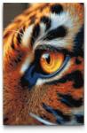  Gyémántszemes kirakó - Tigrisszem Méret: 40x60cm, Keretezés: Kartonlemezen, Gyémántok: Négyzet alakú