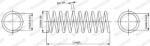 MONROE Arc spiral MONROE SPRINGS SE2453 (SE2453)