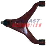 FAST Brat, suspensie roata FAST FT15109 (FT15109) - automobilus