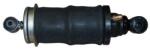 TRUCKTEC Amortizor, suspensie cabina TRUCKTEC 05.63. 031 (05.63.031)