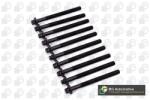 BGA Set surub, chiulasa BGA BK4338 (BK4338)