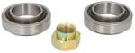 BTA Set rulment roata BTA H1G009BTA (H1G009BTA) - automobilus