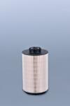 FLEETGUARD filtru combustibil FLEETGUARD FF5769 (FF5769)
